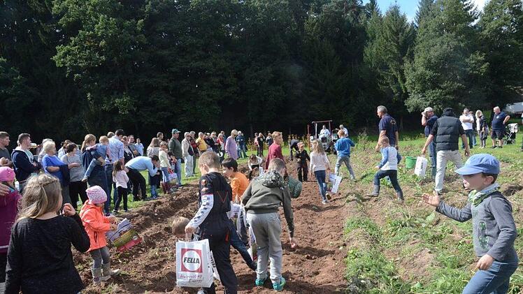 Hans Ziegler brachte mit einer maschinellen Kartoffelgrabgabel die reifen Kartoffeln ans Licht und groß wie klein stürzte sich auf die Erdäpfel. Foto: Karl-Heinz Hofmann