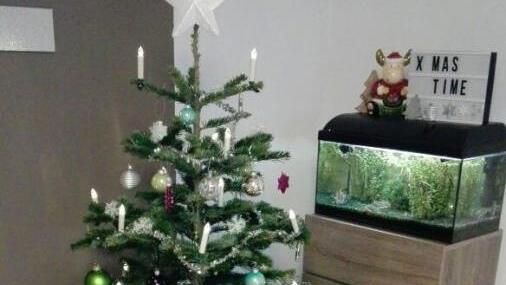 Christian Hacker: "Dieses Jahr haben wir einen schönen bunten Baum, damit die Kinderaugen unserer kleinen Tochter noch mehr funkeln."