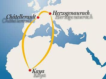 Grafik: Franziska Schäfer