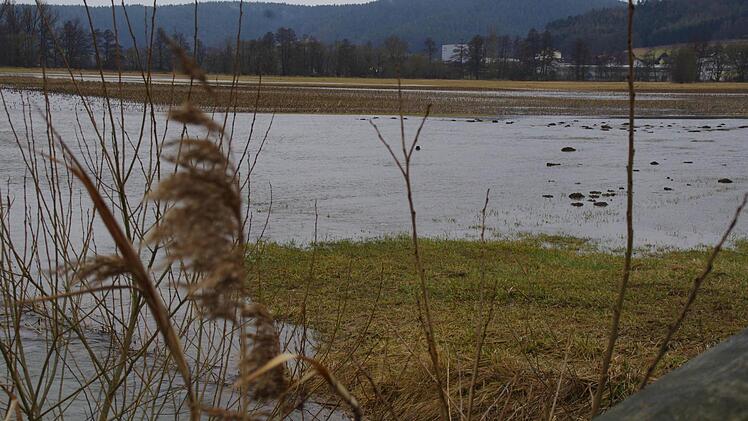 Das Hochwasser bei Mitwitz. Foto: Marco Meißner