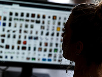 Kinderpornografie: Durchsuchungen bei gleich sechs Verdächtige am Untermain