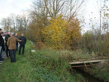 Zweifelsohne nicht mehr befahrbar ist diese Brücke bei Dippach, die ein landwirtschaftliches Grundstück erschließt. Wie sie wieder befahrbar gemacht werden kann, diskutierte der Eltmanner Bauausschuss am Mittwoch vor Ort.