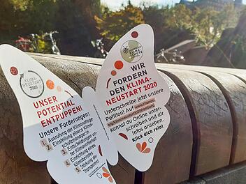 Auch in Bamberg wird es immer heißer und trockener. Das Klimaschutzbündnis begrüßt die gefassten Stadtratsbeschlüsse, bleibt aber skeptisch ob der Umsetzung.  Foto: M. Klein