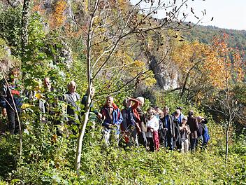 Exkursion der Gäste auf dem Mehlbeerensteig Foto: Paul Pöhlmann