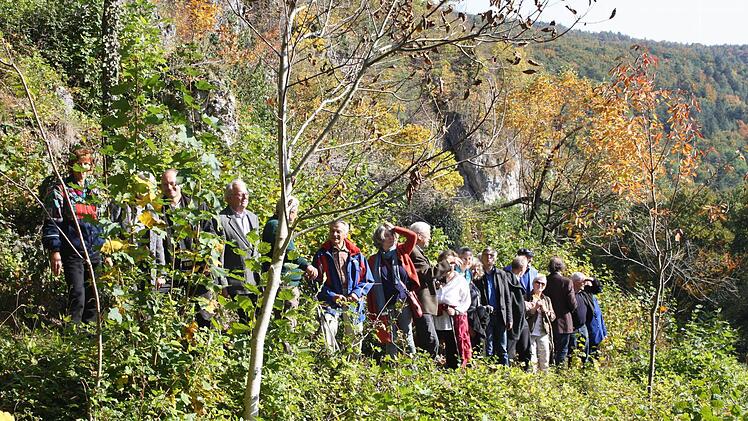 Exkursion der Gäste auf dem Mehlbeerensteig Foto: Paul Pöhlmann