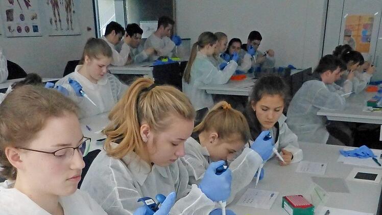 Voll konzentriert arbeiteten die Haßfurter Realschüler im mobilen DNS-Labor unter dem Motto "CSI Mainhattan" an ihrem genetischen Fingerabdruck. Vor den eigentlichen Untersuchungen hatten die Jugendlichen zunächst das Pipettieren trainieren müssen.  Foto: Sabine Weinbeer