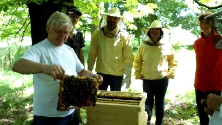 Die Bienen sind schon sehr aktiv.   Foto: Richard Sänger