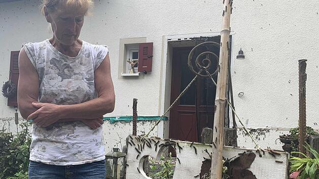 Es krabbelt an jeder Ecke in Gunzenhausen: In allen noch so kleinen Ritzen verstecken sich die Raupen des Schwammspinners, die die Gunzenhausener mittlerweile in den Wahnsinn treiben.  Foto: News5/Pieknik