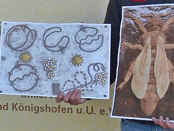 Nach diesen Vorlagen werden in Berlin von der Künstlerin Bärbel Rothhaar die Tontafeln entworfen, auf denen Blinde dann das Leben der Bienen ertasten können. Foto: Hanns Friedrich