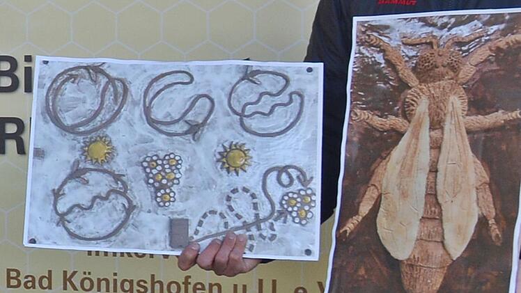 Nach diesen Vorlagen werden in Berlin von der Künstlerin Bärbel Rothhaar die Tontafeln entworfen, auf denen Blinde dann das Leben der Bienen ertasten können. Foto: Hanns Friedrich
