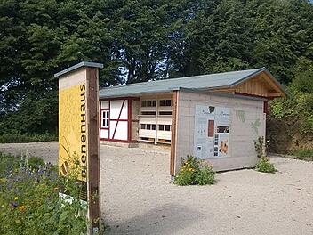 Kloster Banz: Bienenstand entdecken - Umweltstation erklärt Leben der Honigbienen Kloster Banz: Bienenstand entdecken - Umweltstation erklärt Leben der Honigbienen