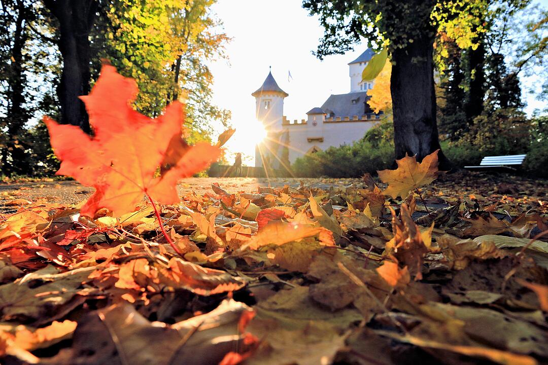 Herbst bei Schloss Greifenstein