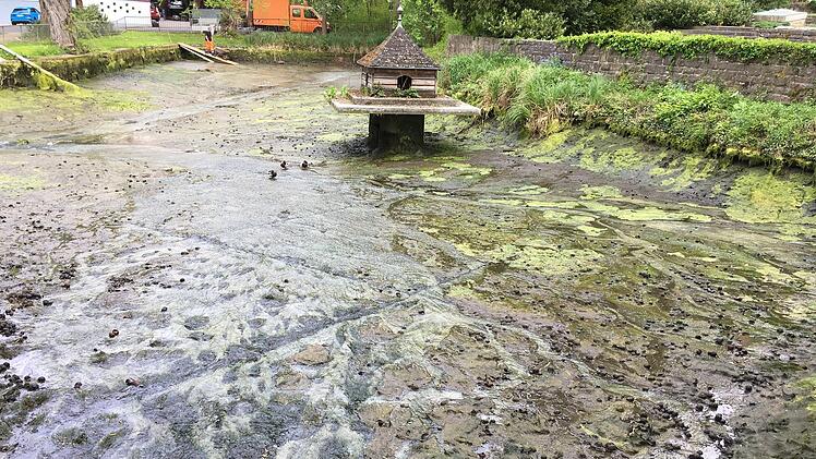 Auf dem Liebfrauensee bildet sich jedes Jahr ein dichter Algenteppich, der nicht nur unsch&ouml;n aussieht, sondern auch die Wasserqualit&auml;t mindert.