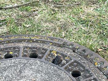 Bubenreuth: Feuerwehr rettet Vogel "aus misslicher Lage"