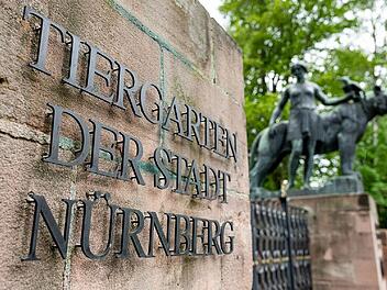 Tiergarten Nürnberg verrät Plan zu besonderem Projekt - "Moment mal"