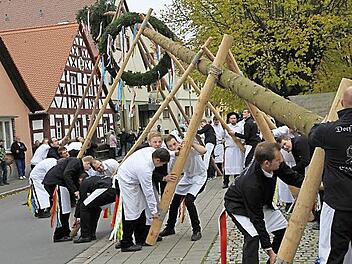 Der Eggolsheimer Kirchweihbaum war mit 33 Metern der größte, der bisher aufgestellt wurde. Foto: erl