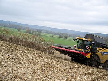 Maisernte in Franken