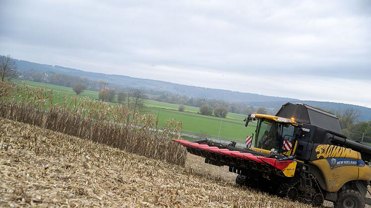 Maisernte in Franken