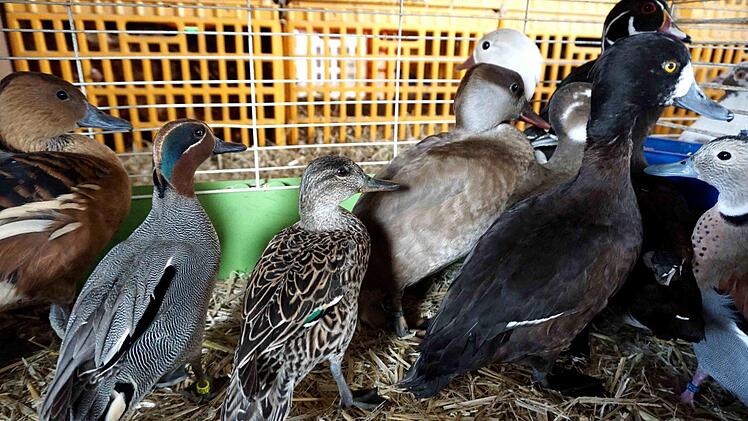 Foto: Richard Sänger