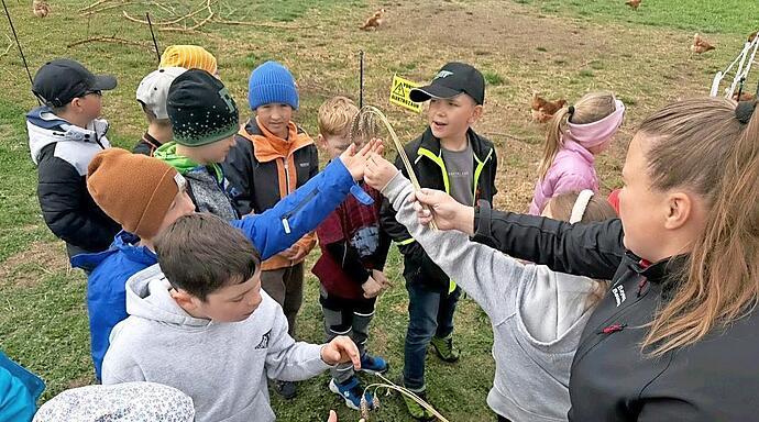 Wie Kinder Landwirtschaft in Roth erkunden