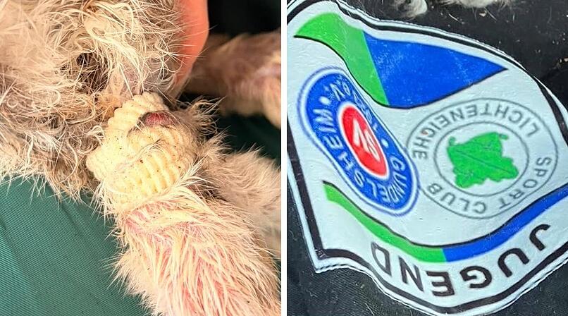 Tier misshandelt im Hauptamoorwald ausgesetzt.