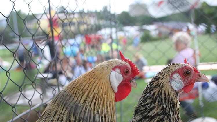 hurnauer Kindertag 2018. Foto: Sonny Adam