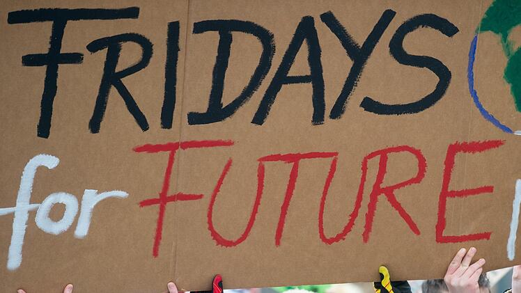 Am Freitag gehen Schüler für die Kampagne "Fridays for Future" wieder demonstrieren. Symbolbild: Klaus-Dietmar Gabbert/dpa