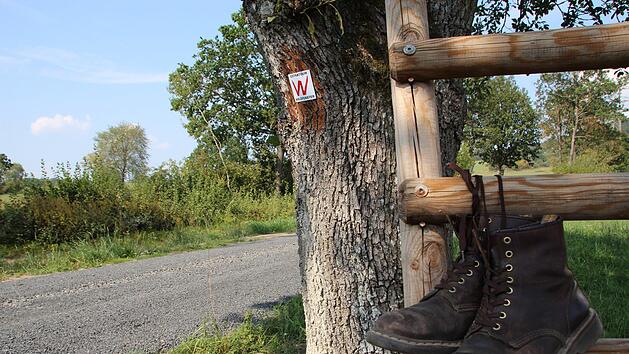Die Extratour des Hochrh&ouml;ners, der "Waldfensterer", ist mittlerweile zum Teil ausgeschildert. Foto: Johannes Schlereth