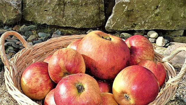 Am Sonntag dreht sich am Kreislehrgarten auf dem Landesgartenschaugel&auml;nde alles um den Apfel.  Foto: Gerd Fleischmann