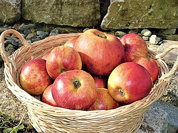 Am Sonntag dreht sich am Kreislehrgarten auf dem Landesgartenschaugelände alles um den Apfel.  Foto: Gerd Fleischmann