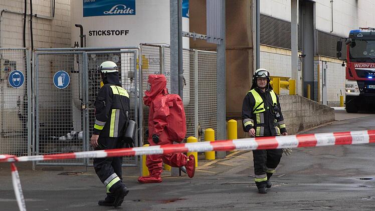 Foto: NEWS5 / Grundmann