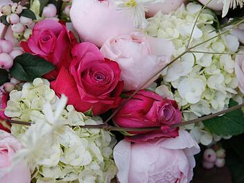 Ein Blütenmeer breitet sich seit Samstagmorgen und noch bis Sonntag, 18 Uhr, in der Festung Rosenberg aus. Fotos: Matthias Hoch