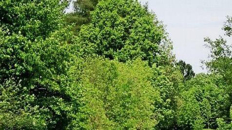 Die Stra&szlig;en im Wei&szlig;maintal geh&ouml;ren am Sonntag den Radfahrern, Fu&szlig;g&auml;ngern und Inline-Skatern. Foto: Archiv/Dieter H&uuml;bner