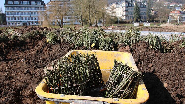Eindrücke von der Baustelle Rosengarten. Foto: Ralf Ruppert