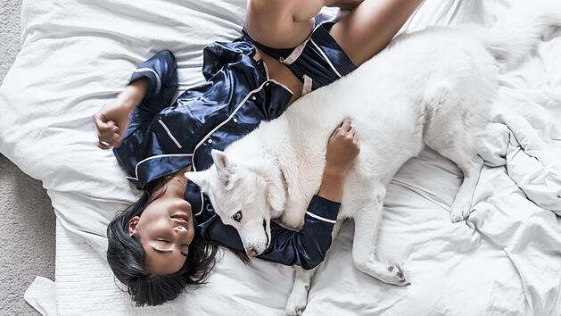 Darf der Hund mit ins Bett?