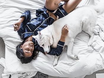 Darf der Hund mit ins Bett?