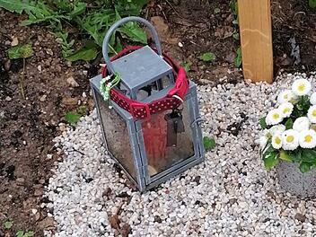 Tierheim Lichtenfels: Diebstahl auf Tierfriedhof entsetzt Tierschützer Tierheim Lichtenfels: Diebstahl auf Tierfriedhof entsetzt Tierschützer