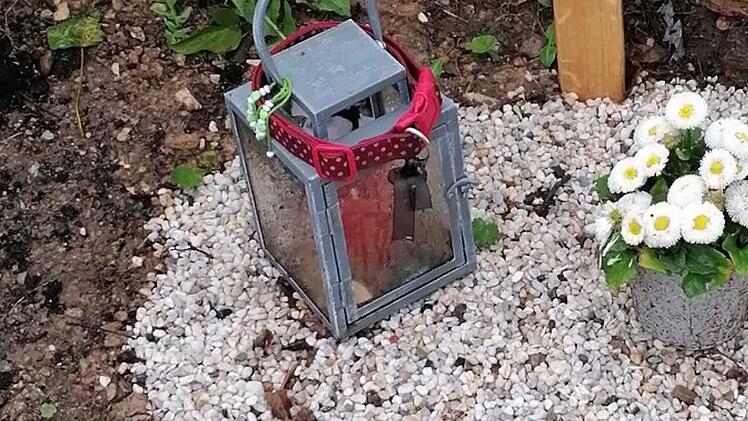 Tierheim Lichtenfels: Diebstahl auf Tierfriedhof entsetzt Tierschützer