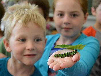 Ganz genau beobachten die Thulbaer Grundschüler, wie Fridolin und Hansi fetter und fetter werden. Foto: Elisabeth Assmann