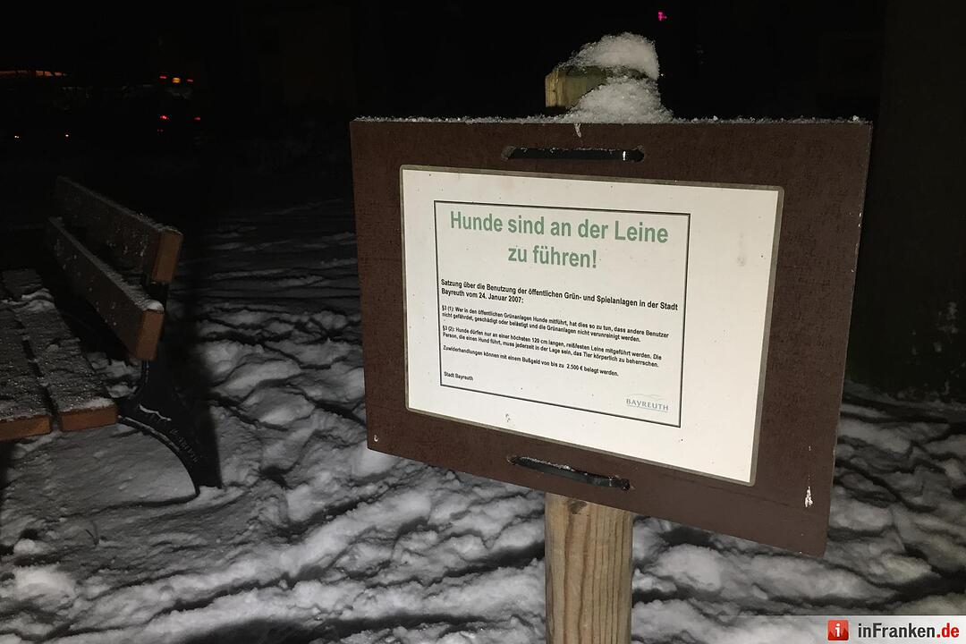 Tragischer Eisunfall in Bayreuth: Hund und Frauchen brechen in Weiher ein