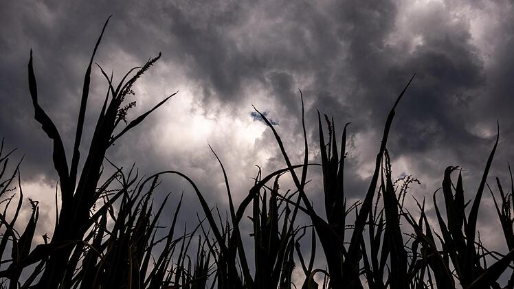 Die Gewitterneigung steigt am Samstag, warnt "Wetterochs" Stephan Ochs. Foto: Mohssen Assanimoghaddam/dpa