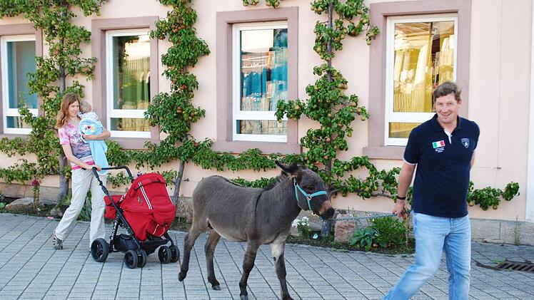 Dieses Bild sahen die Riedenberger über die Frühlings-und Sommermonate nahezu täglich, wenn Thomas und Alexandra Knüttel Eselchen Herbert ausführten.  Foto: Evelyn Schneider