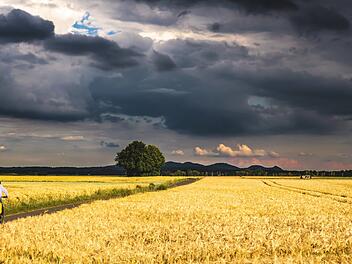 Wetter im August 2023: "Fröstelwetter" oder "außergewöhnlich heiß" - das bedeuten die aktuellen Prognosen