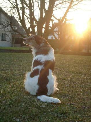 Foto: Petra Stumpf
