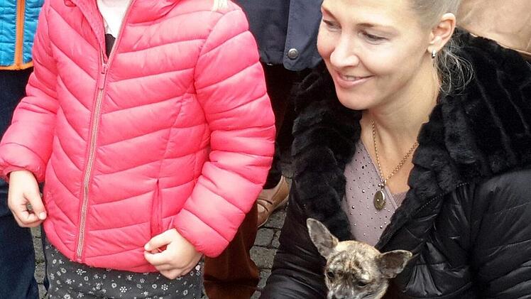 Erst wenige Wochen alt ist der kleine Hund Rocky.  Rolf Pralle