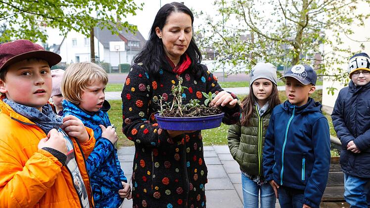 Impressionen vom Pflanztag an der Theodor-Heublein-Schule Foto: Matthias Hoch