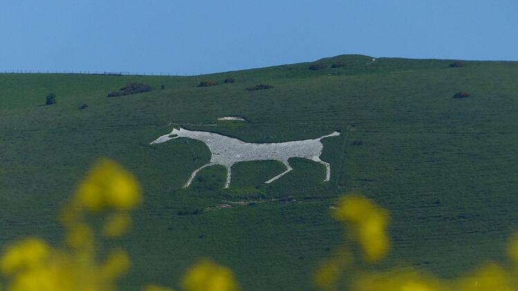 Kilometerweit sichtbar: Das Scharrbild "Westbury White Horse".Manfred Wagner