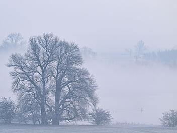 Wetter in Franken: Schnee und Eis haben Franken im Griff - doch kommt bald die Wärme-Überraschung? Wetter in Franken: Schnee und Eis haben Franken im Griff - doch kommt bald die Wärme-Überraschung?