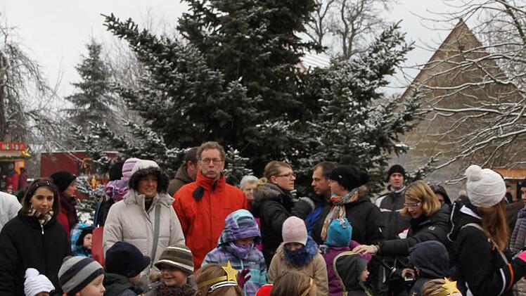 Der zehn Meter hohe Weihnachtsbaum war der "Star" am Hallerndorfer Weihnachtsmarkt. Die mächtige Blautanne  stand  bis vor wenigen Tagen etwa 100 Meter entfernt vom Hallerndorfer Gemeindezentrum im Garten der Familie Lengenfelder. Mit Lichterketten bestückt ziert er jetzt den Rathausinnenhof. Foto: Mathias Erlwein