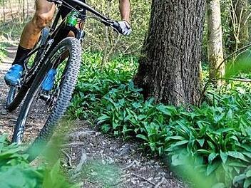 Durch die Natur radeln ist gesund.